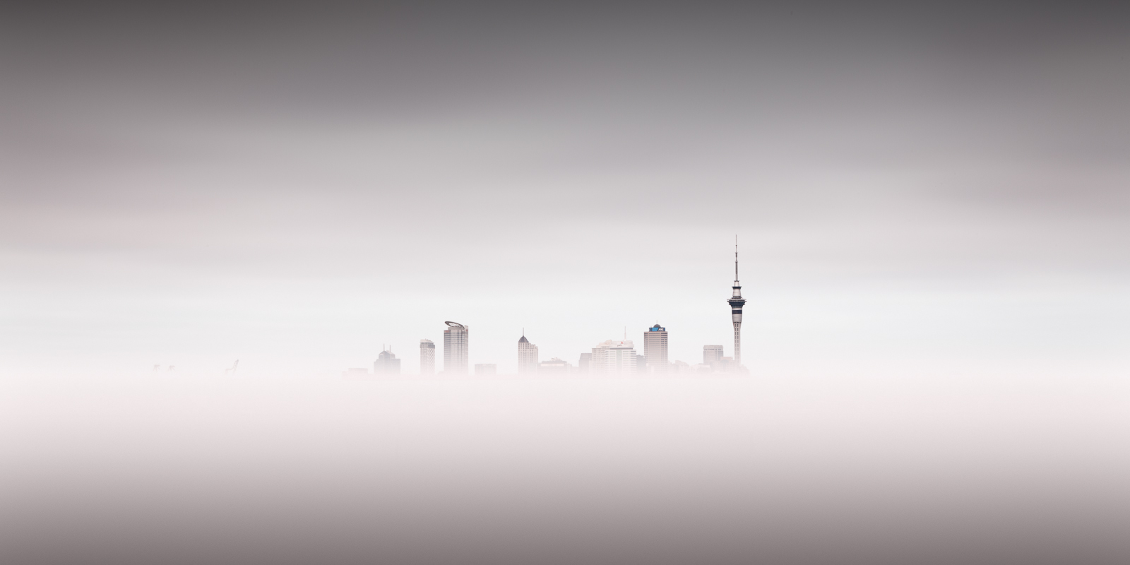 Cloud City, Auckland