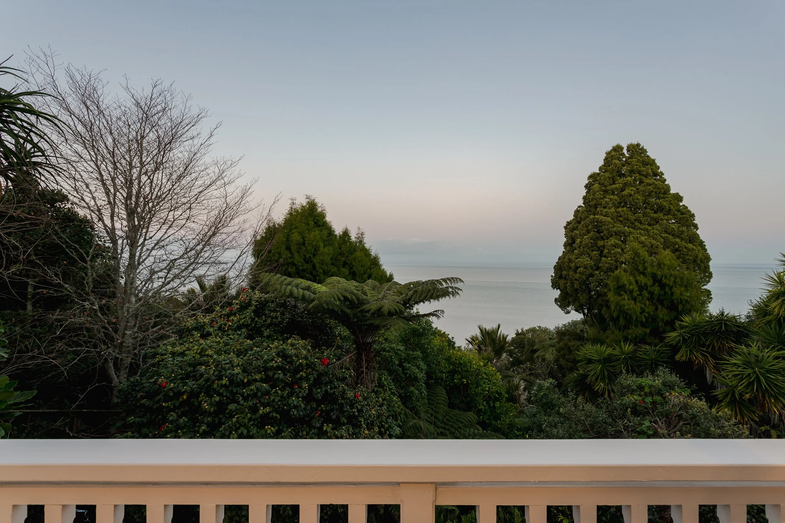 IMG_3032-Edit.jpg