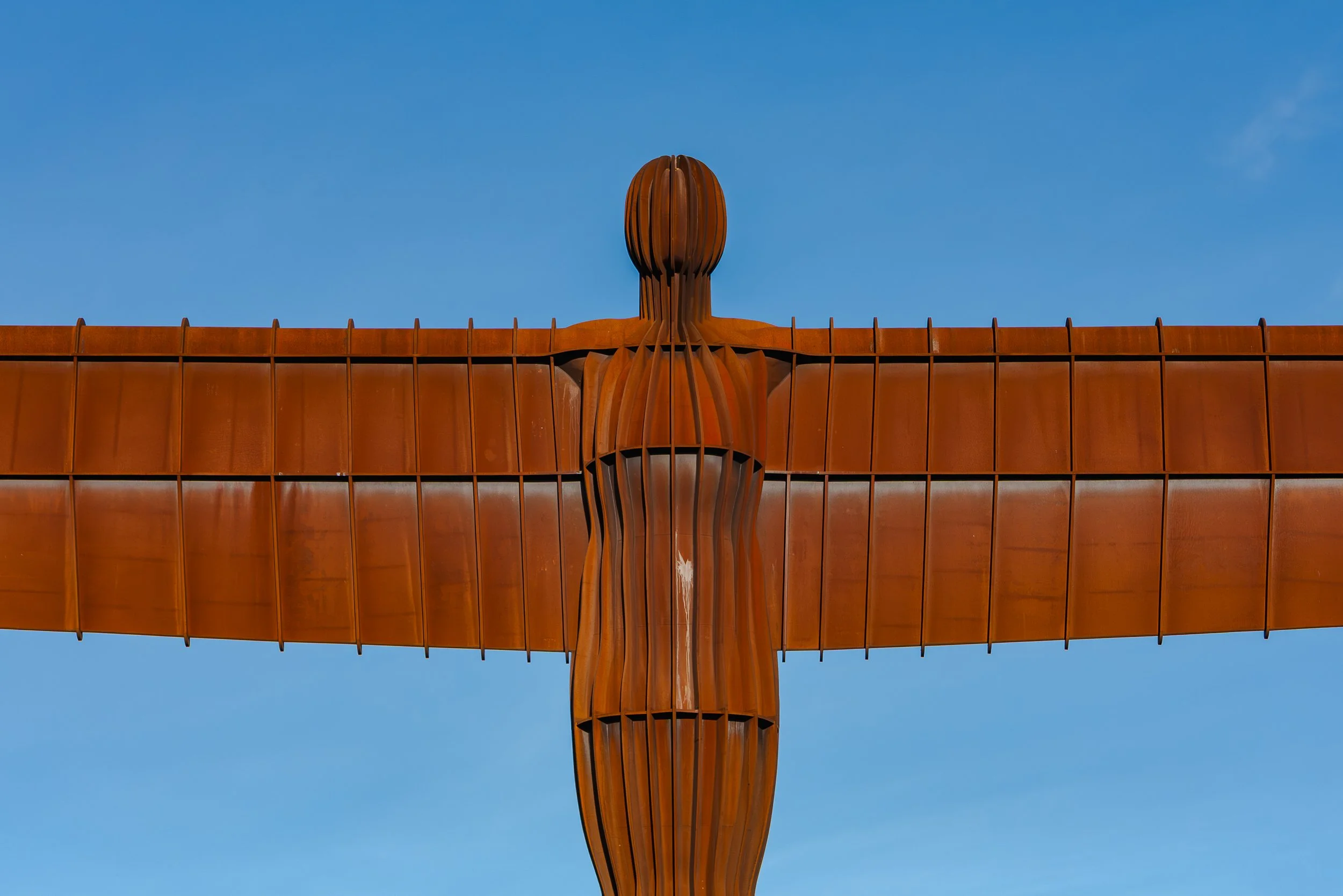 _MG_6528-Edit.jpg