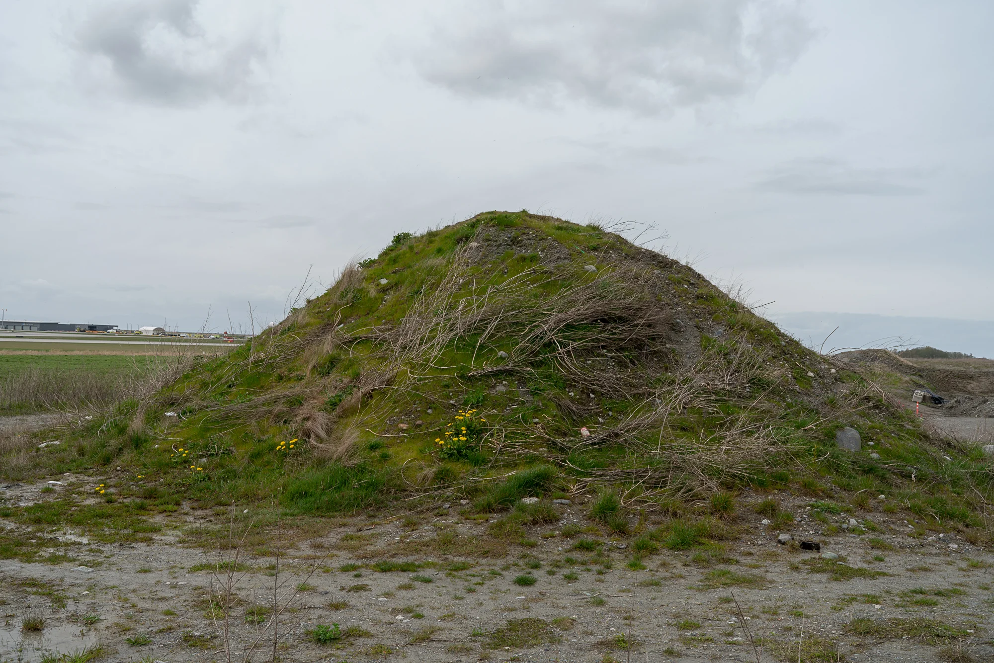 Jim-Roche-photo-Island-0050.jpg