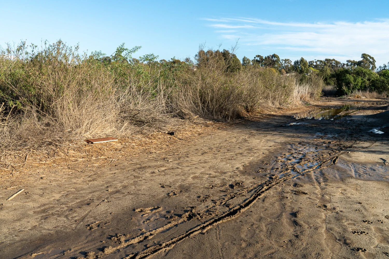 A pathway towards the end of Santiago Creek.