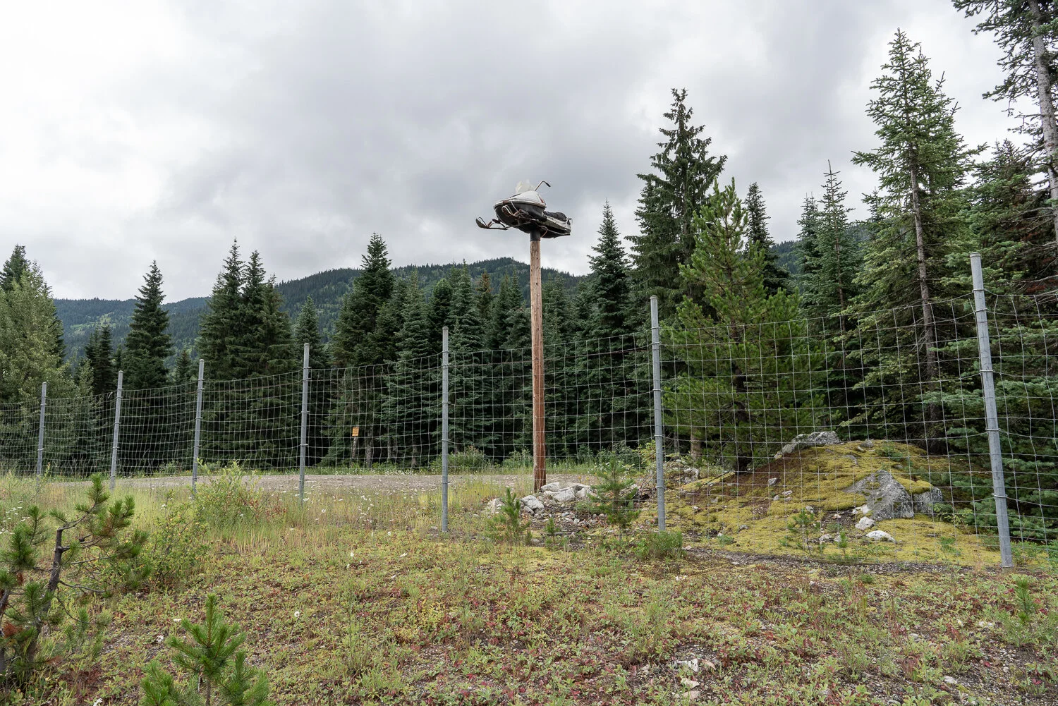 Somewhere out back in Western Canada: Jim Roche