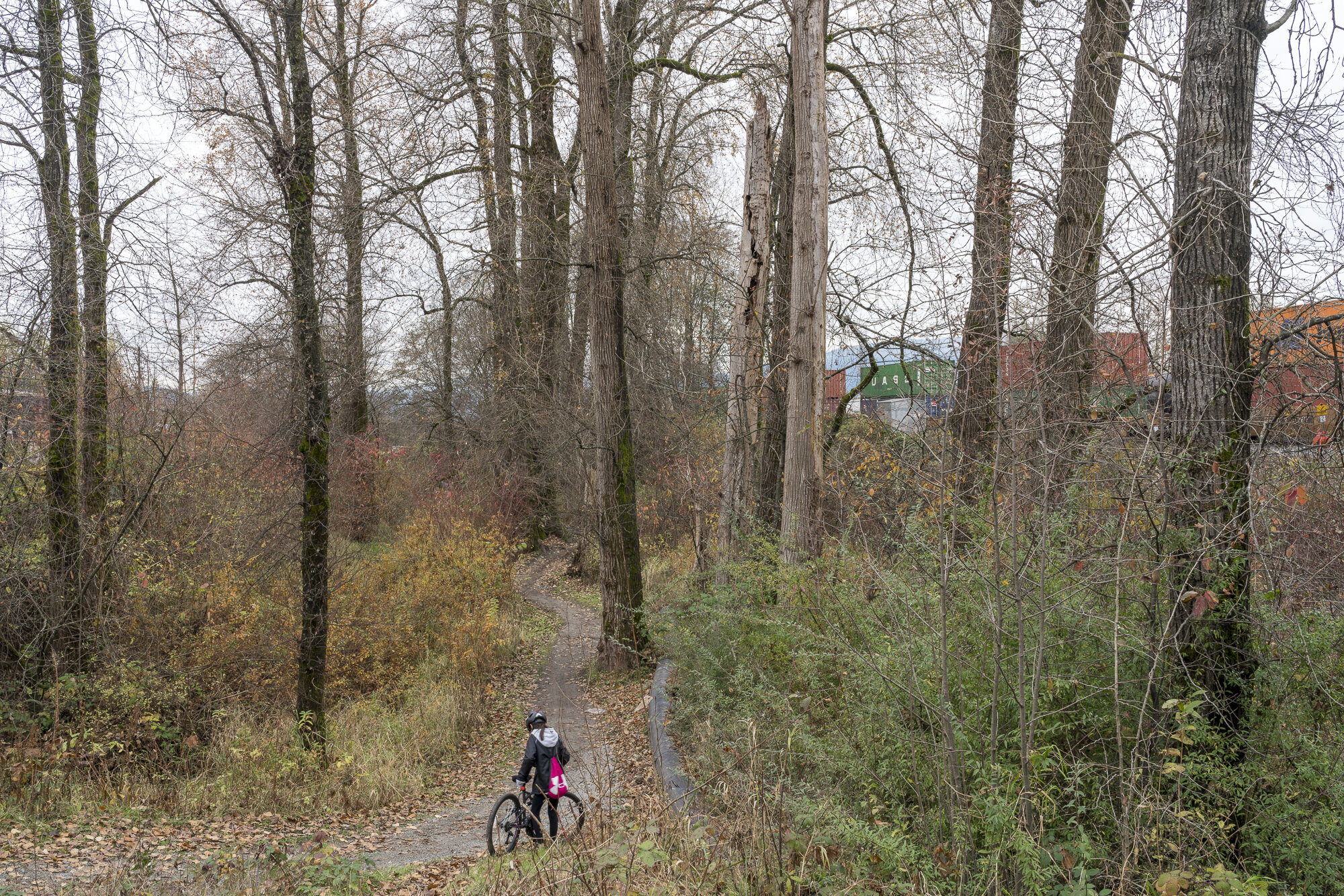 Jim-Roche-photo-Pitt_River 2020-8407.jpg