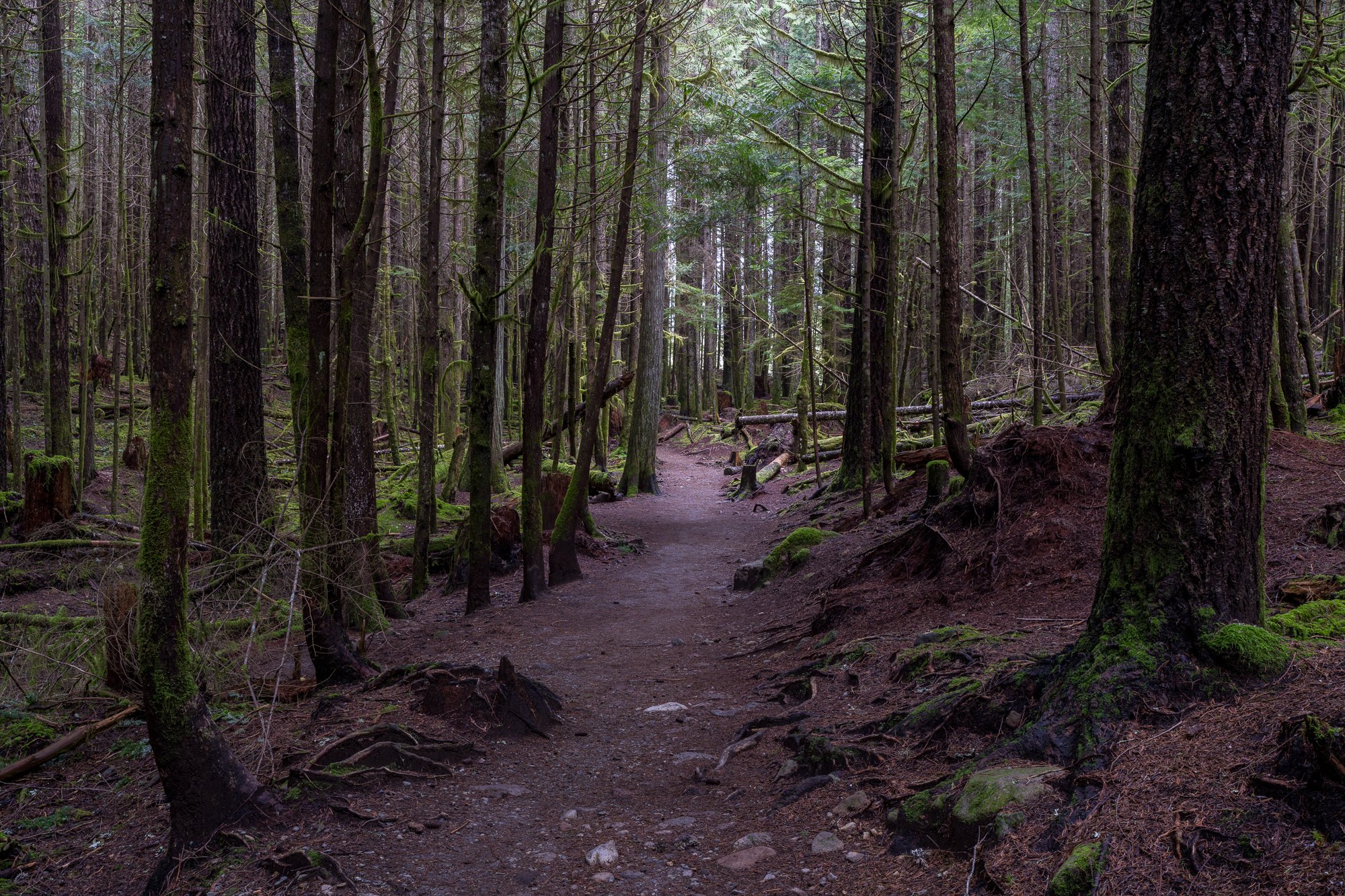 Jim_Roche_2021_--15.jpg
