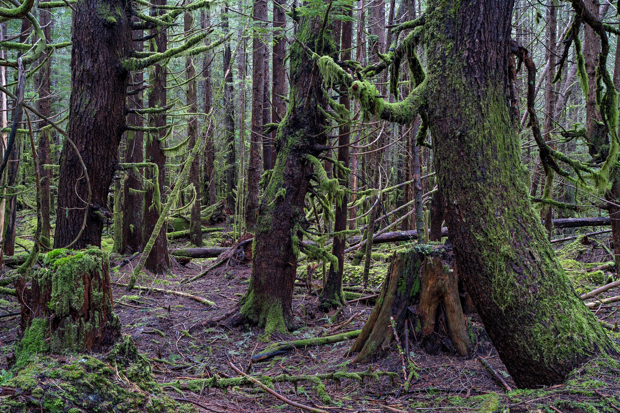 Jim_Roche_2021_-120250307.jpg