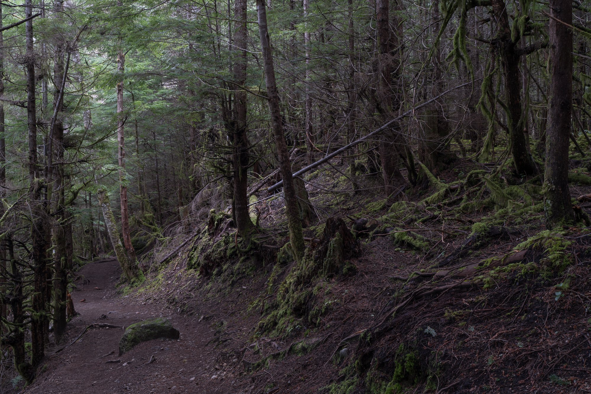 Jim_Roche_2021_--21.jpg