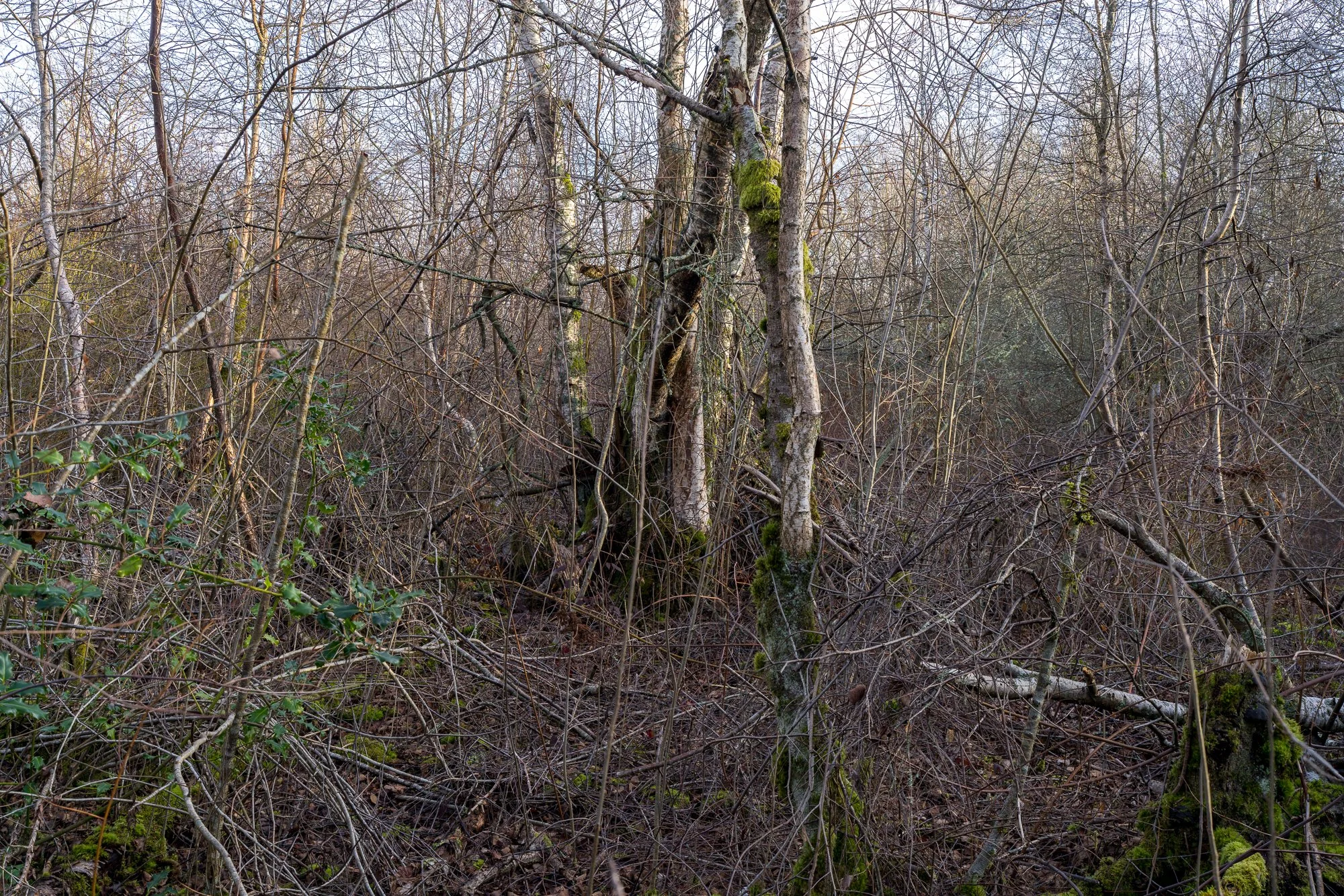 2026-02-28 11-28-38 (B,R8,S4).jpg