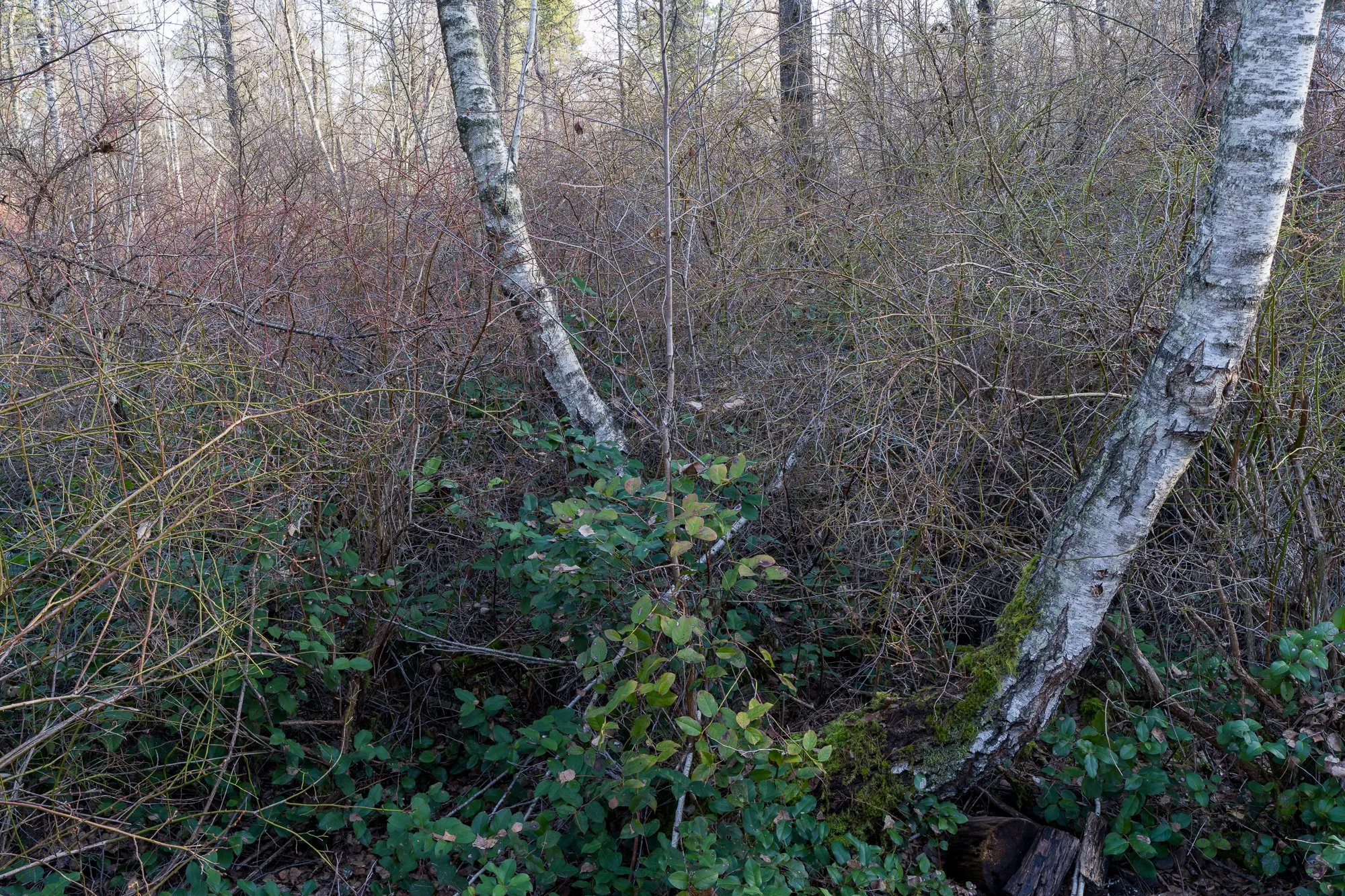 2026-02-28 10-56-22 (B,R8,S4).jpg