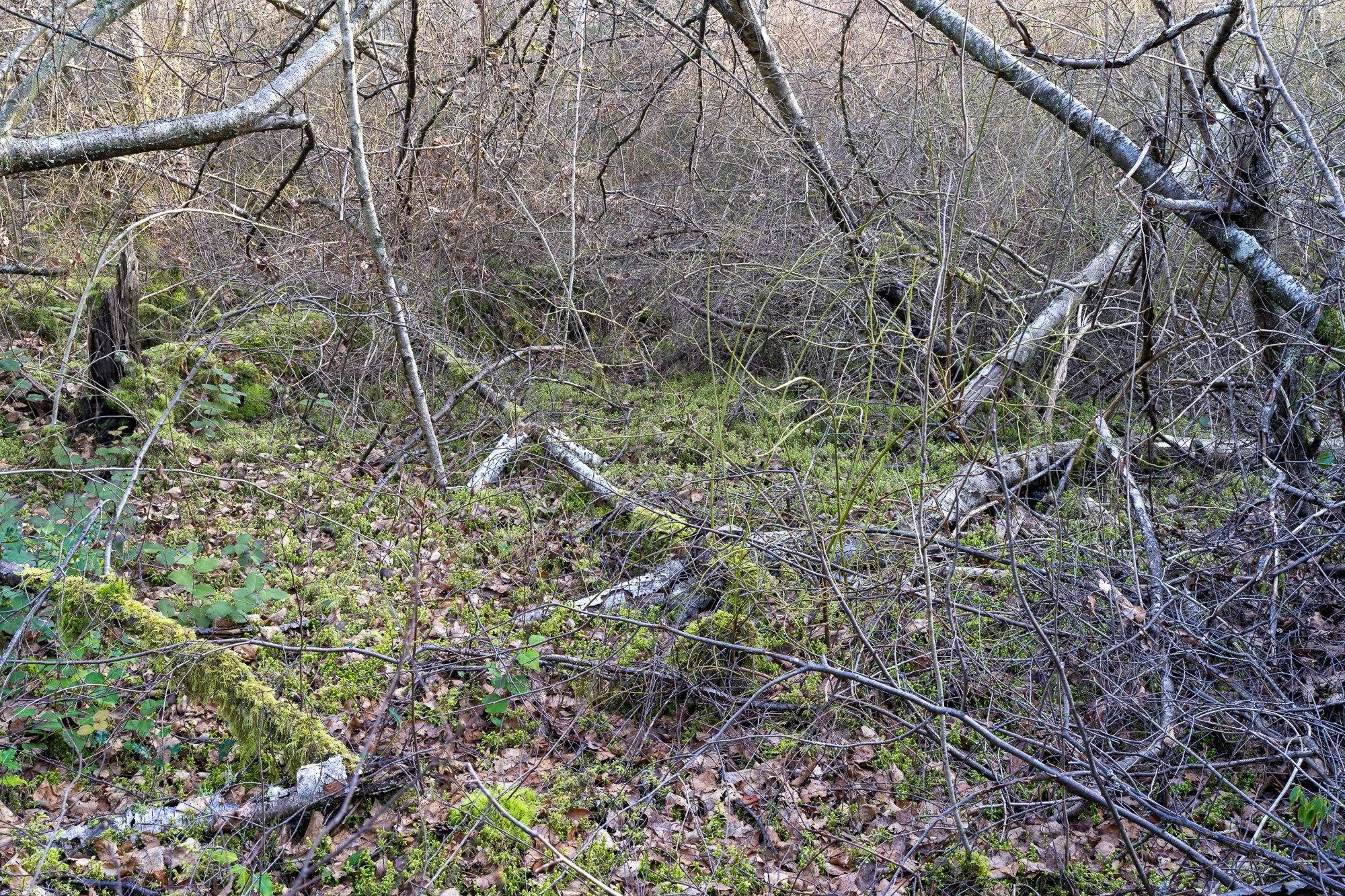 2026-02-28 10-41-33 (B,R8,S4).jpg