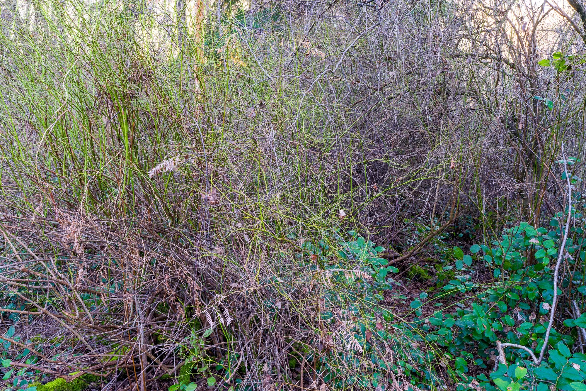 2026-02-28 10-24-06 (B,R8,S4).jpg