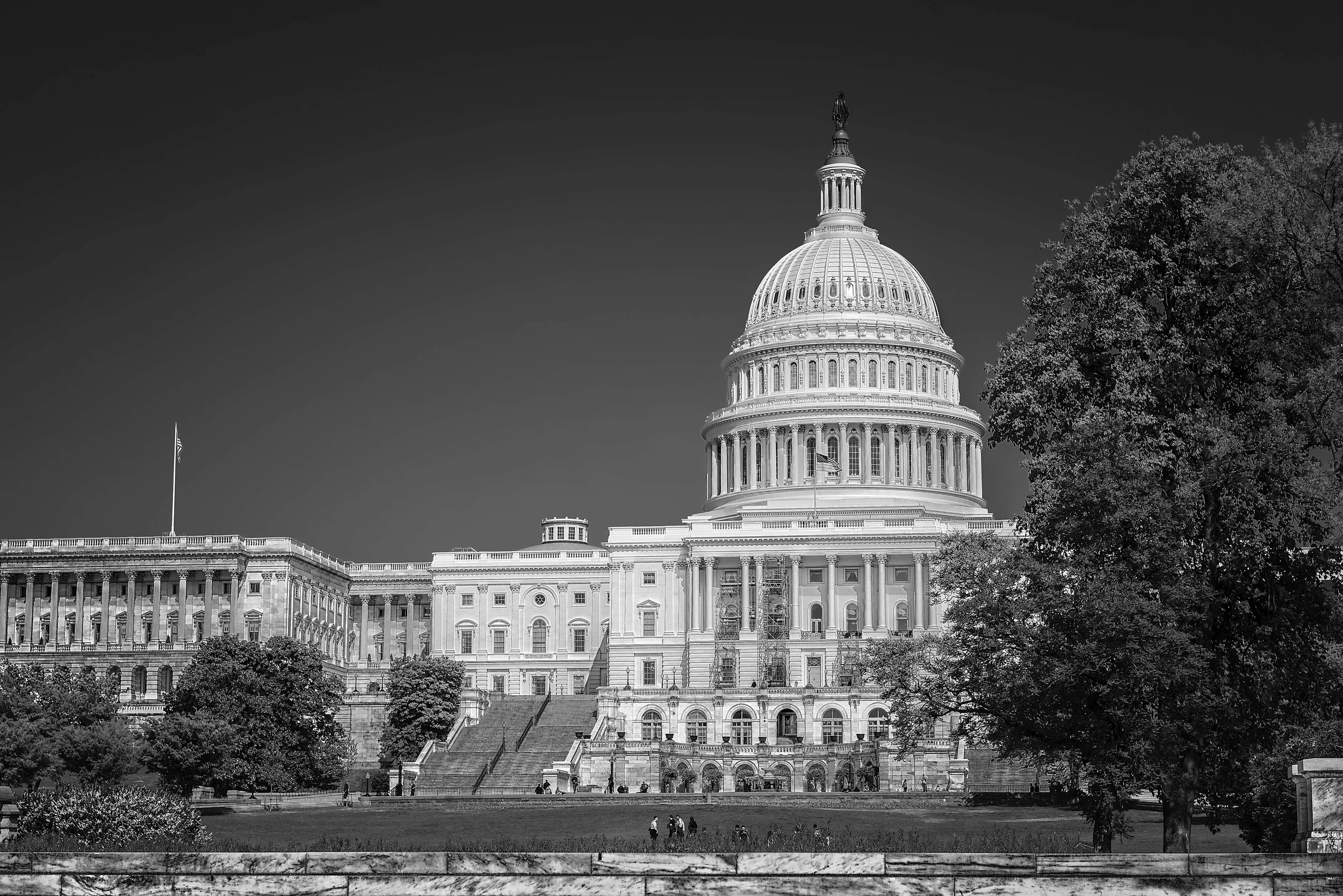 DSC_3787bw.jpg