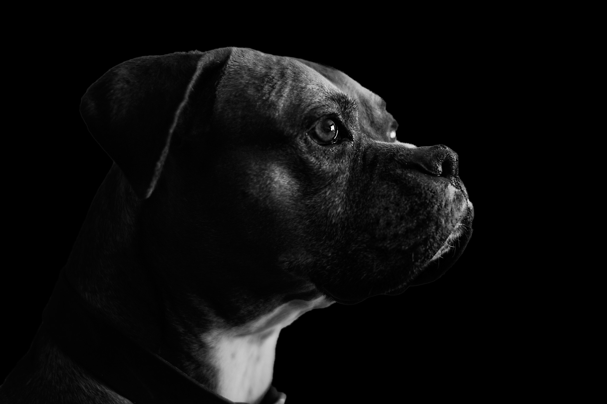 Phoenix Photographer Nathan Brummer Photography Old_Buddy.jpg