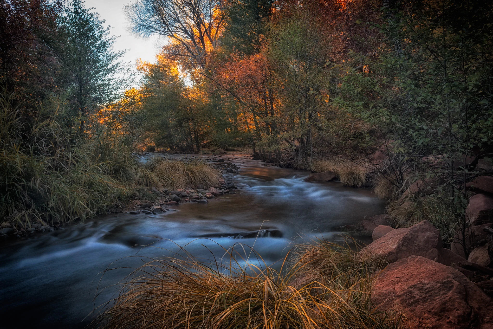 Phoenix Photographer Nathan Brummer Photography DSC_6876.jpg