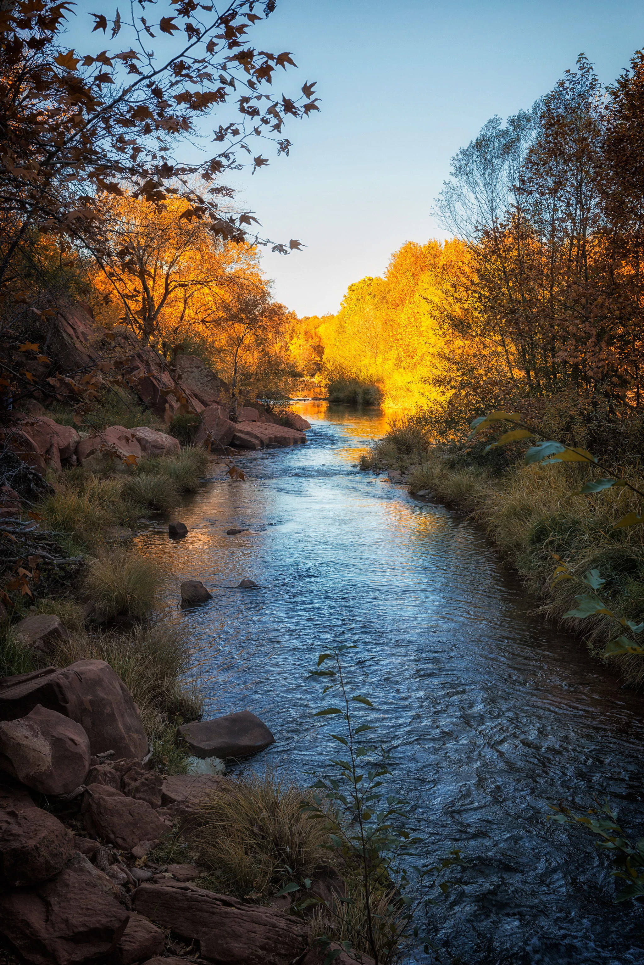 Phoenix Photographer Nathan Brummer Photography DSC_6882.jpg