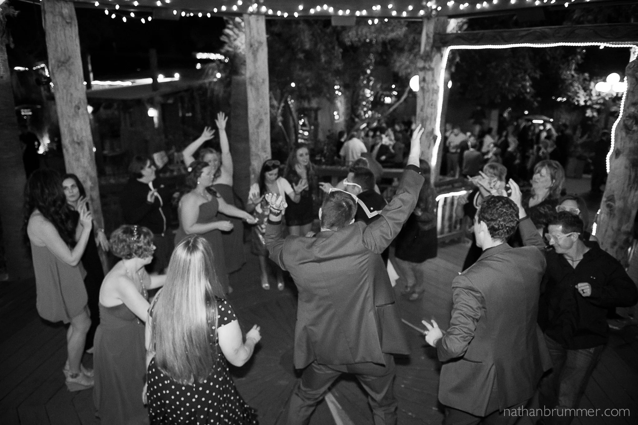 Boojum Tree Hidden Garden Nathan Brummer Photography-17.jpg
