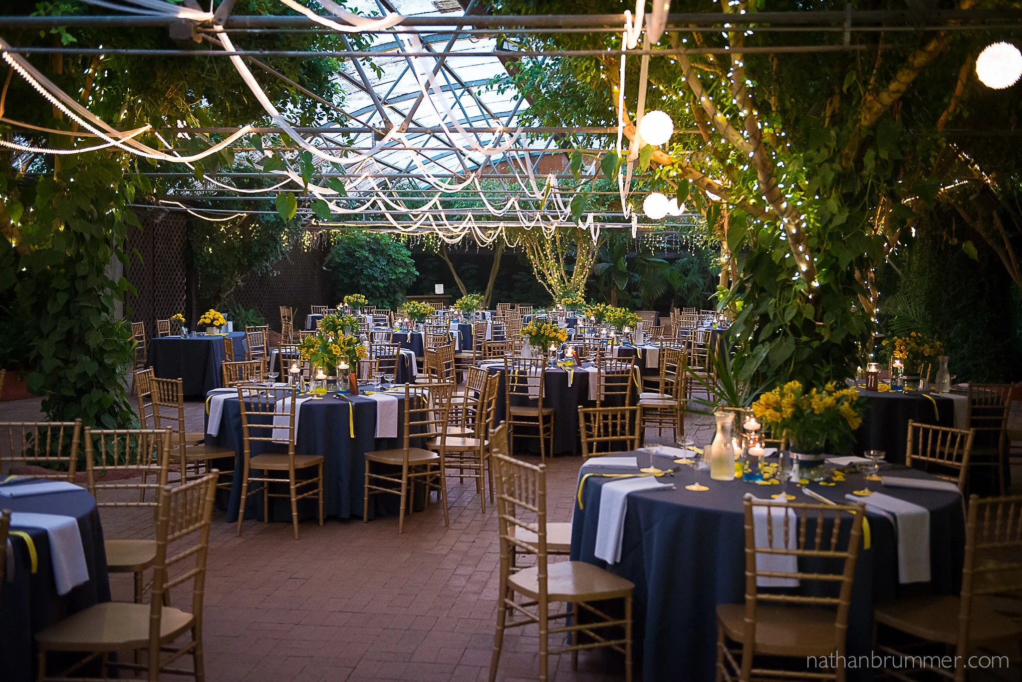 Boojum Tree Hidden Garden Nathan Brummer Photography-15.jpg