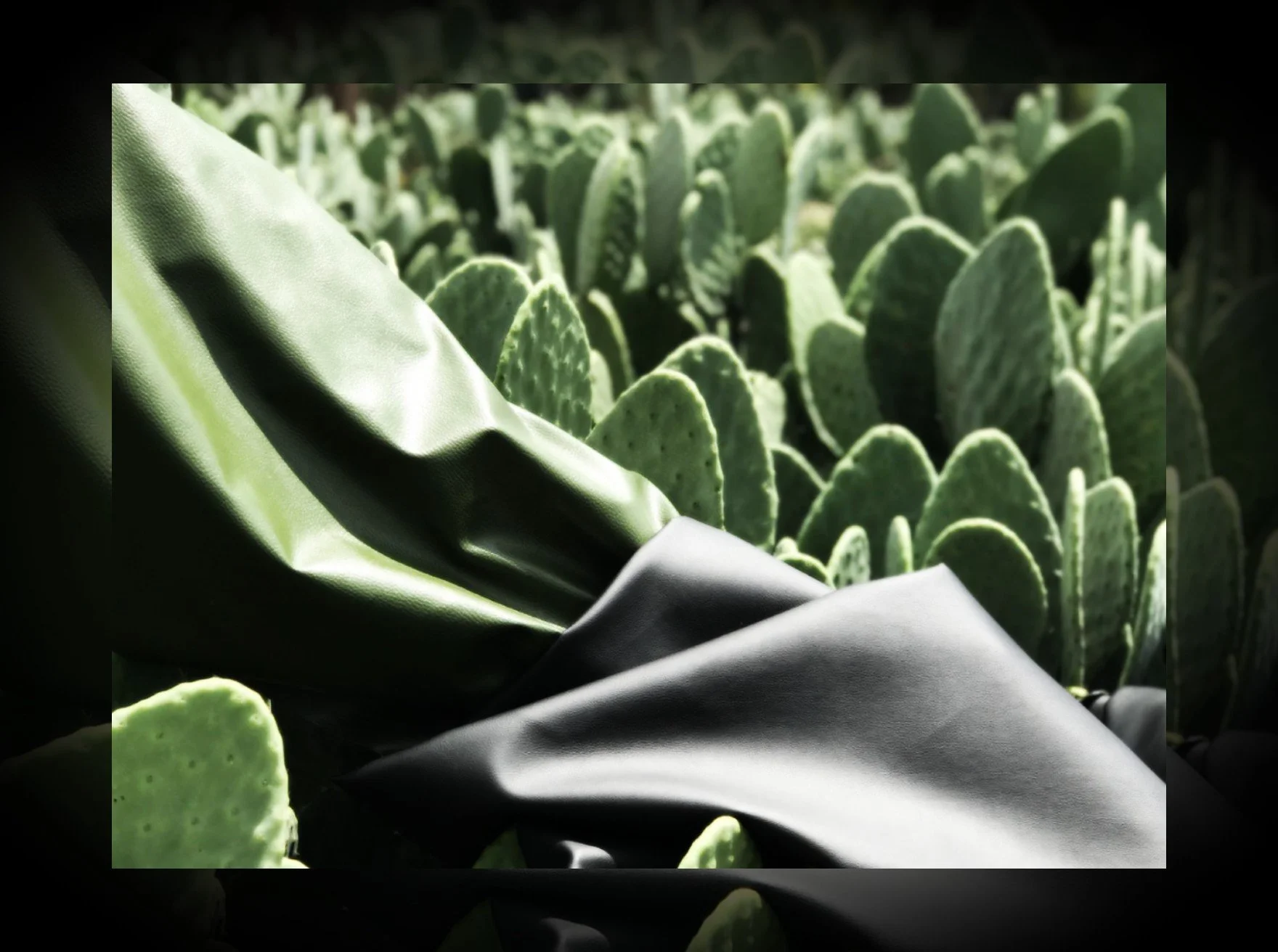 cactus-leather.jpg