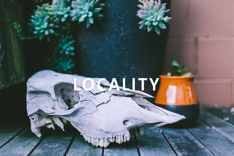 Locality.jpg