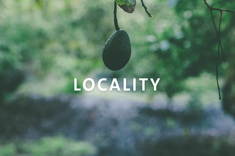 Locality.jpg