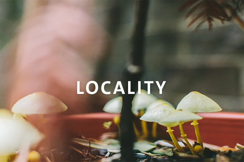 Locality.jpg