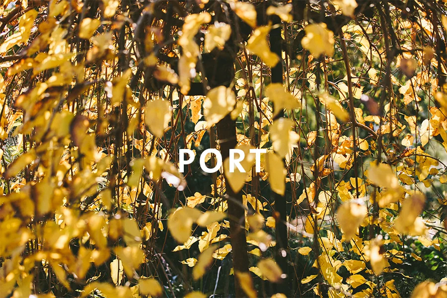 Port.jpg