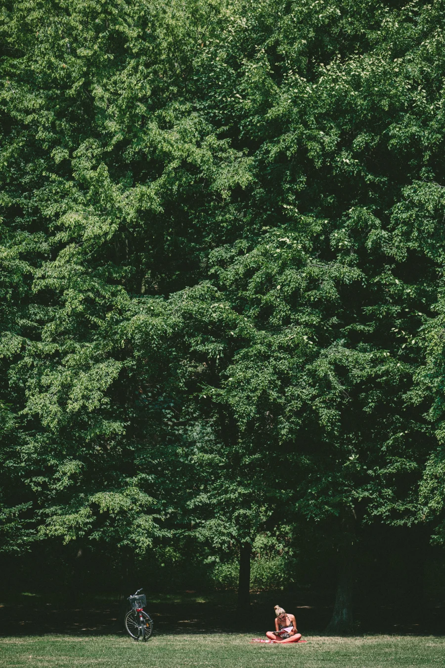 20130804_Trade 110_0801.jpg