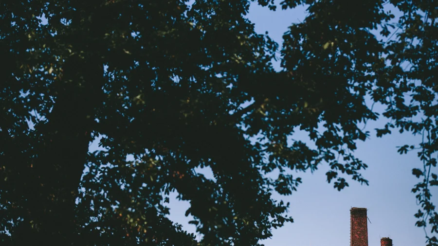 20130813_Trade 111_2421.jpg