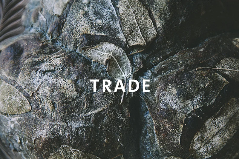 2 Trade.jpg