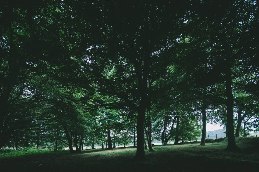 20130824_Trade 115_0784.jpg