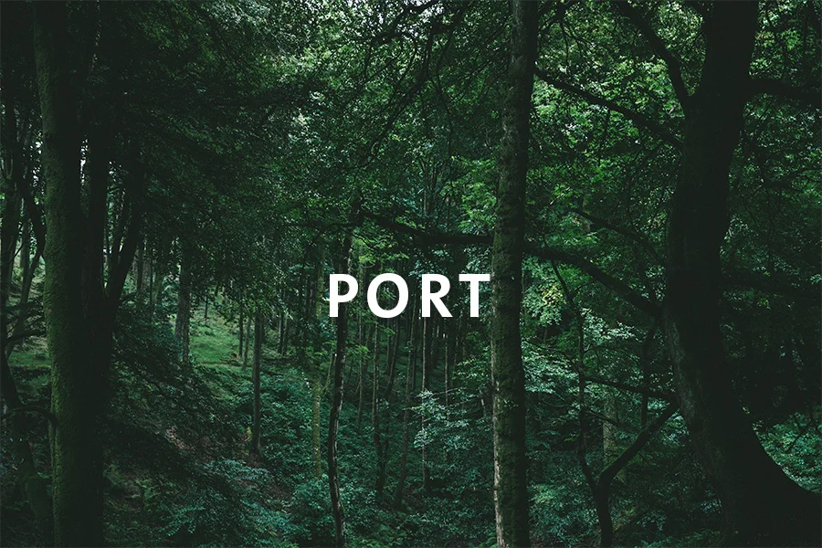 3 Port.jpg