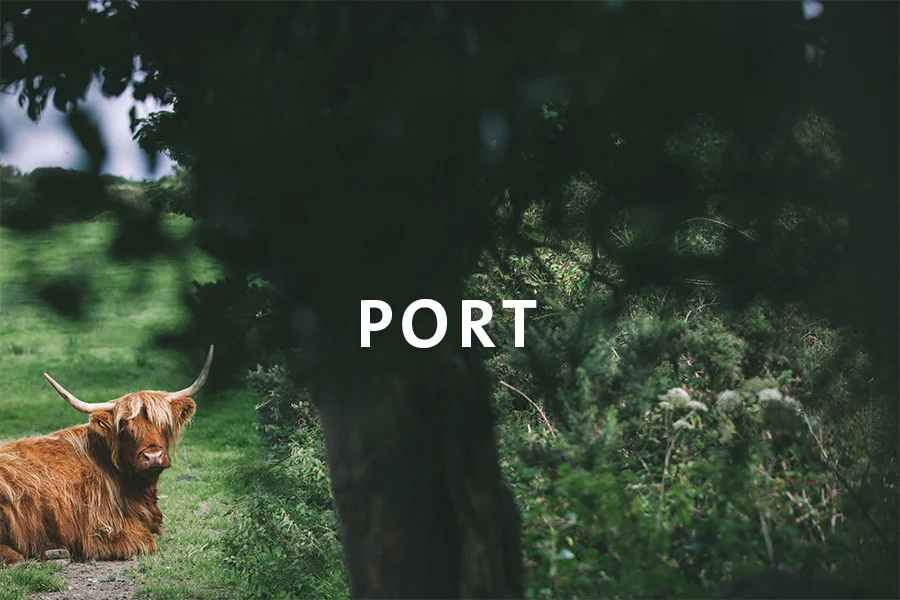 3 Port.jpg