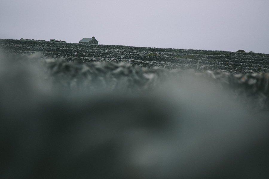 20130902_Trade 118_0851.jpg