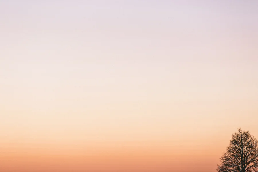 20130917_Trade 123_0224.jpg