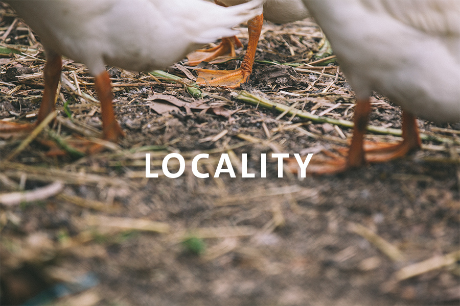 1 Locality.jpg