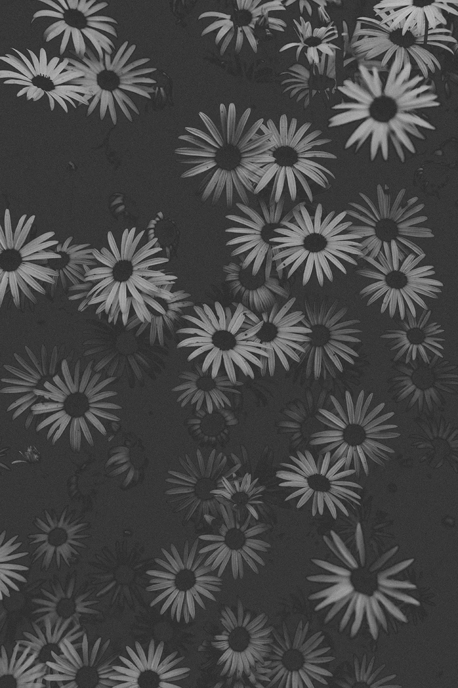 20130924_Trade 124_0315.jpg