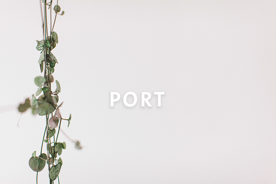 3 Port.jpg