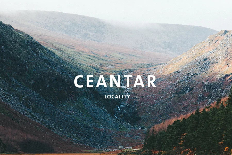 8 Locality Irish.jpg