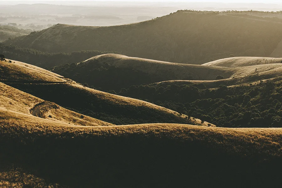 Trade LXXII | Australia | Hilary Skelton + Daniel Encel