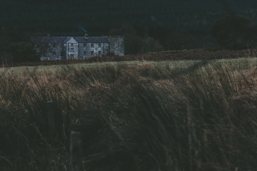 Trade CXXXVI | Ireland | Rory Mcardle