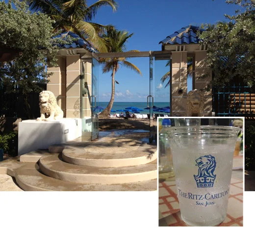 blog-ritz.jpg