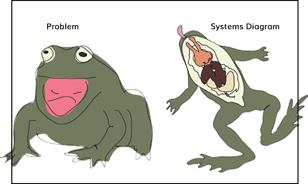 blog-brent-frogs.jpg