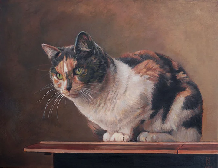 Ira's-Kitty2-small-1.jpg