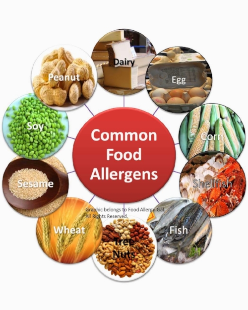 gentagelse akavet Koordinere Food Allergy | Hormone Testing | Thyroid and Adrenal — DR. VERA SINGLETON