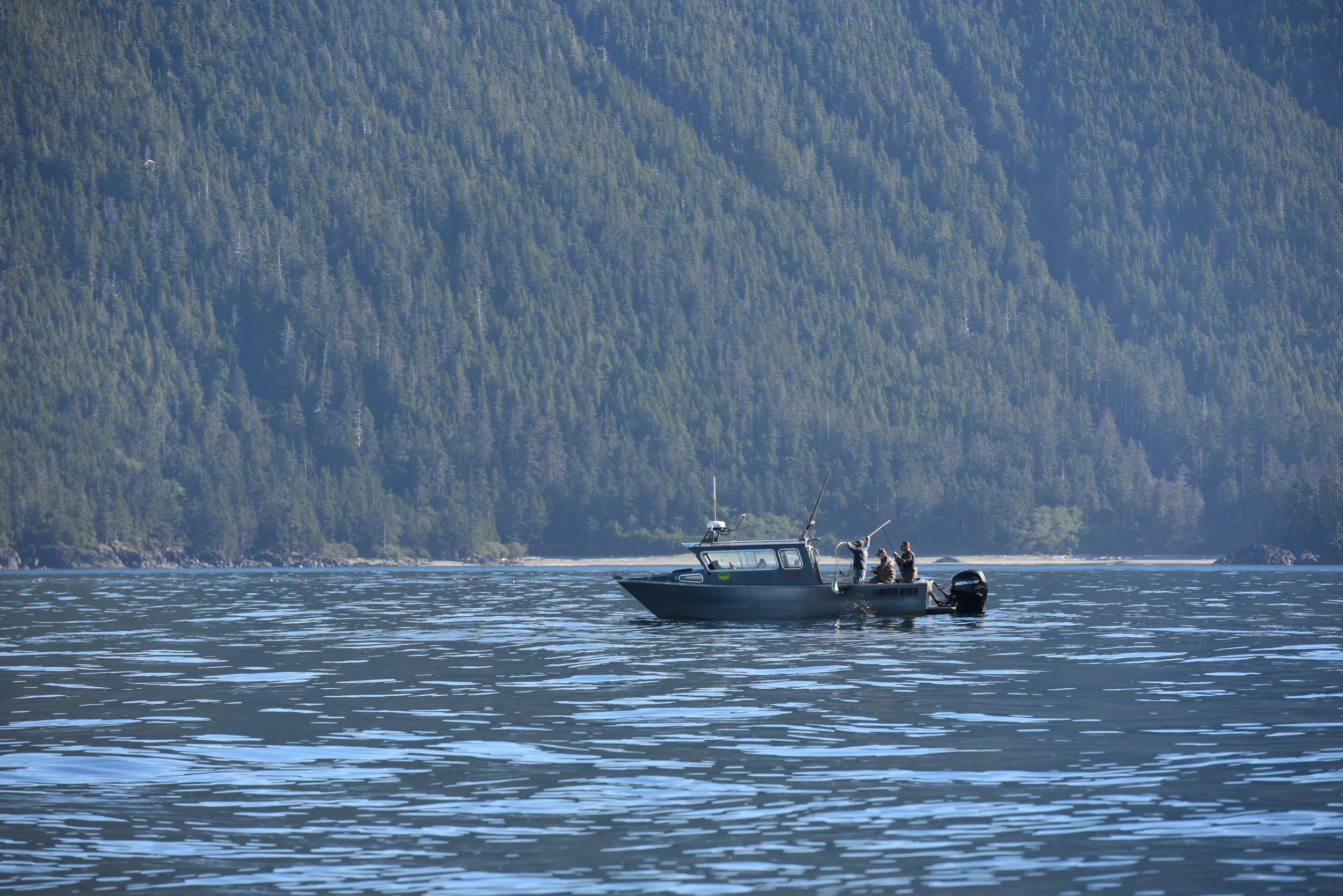 DSC_3820.jpg