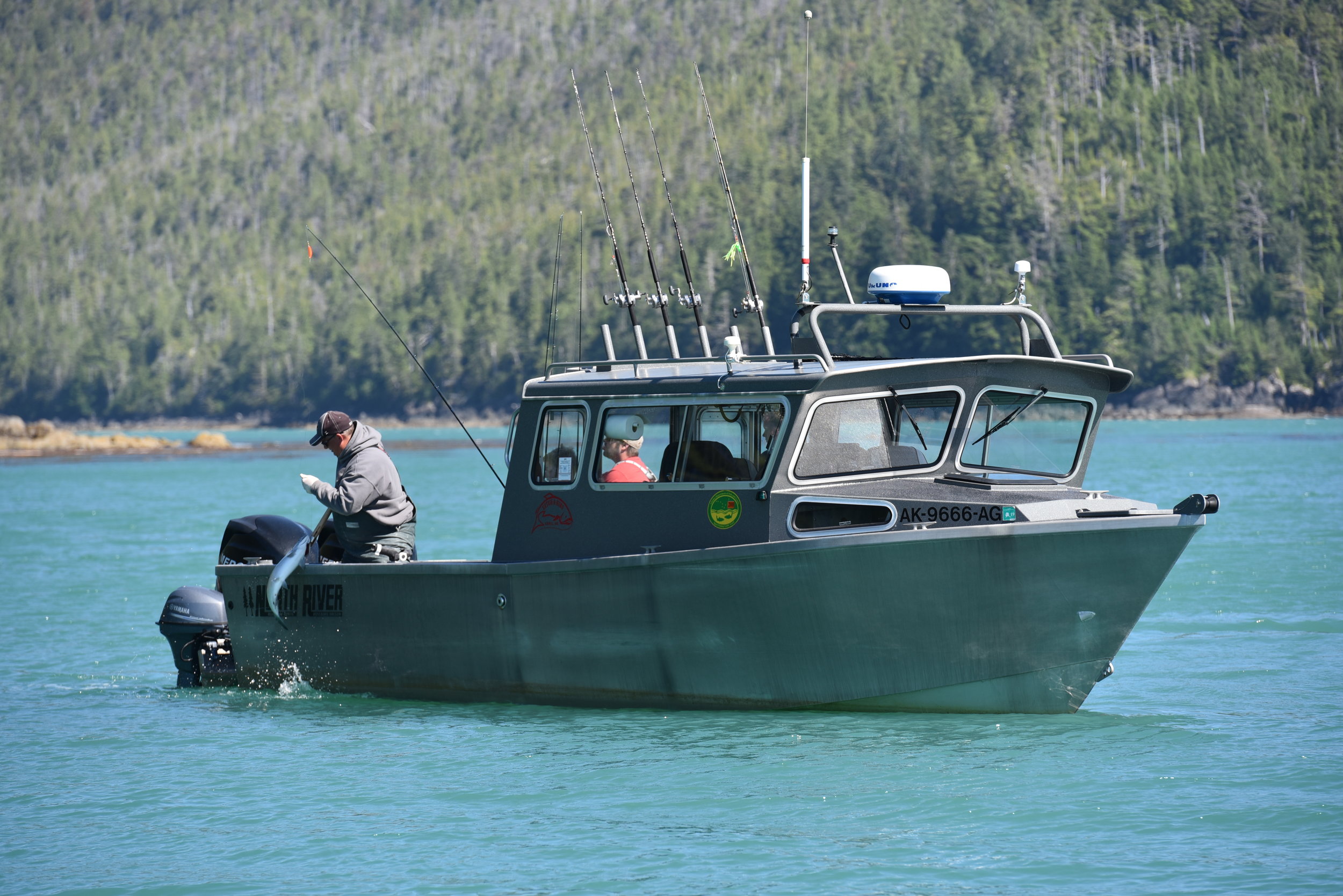 DSC_3425.jpg