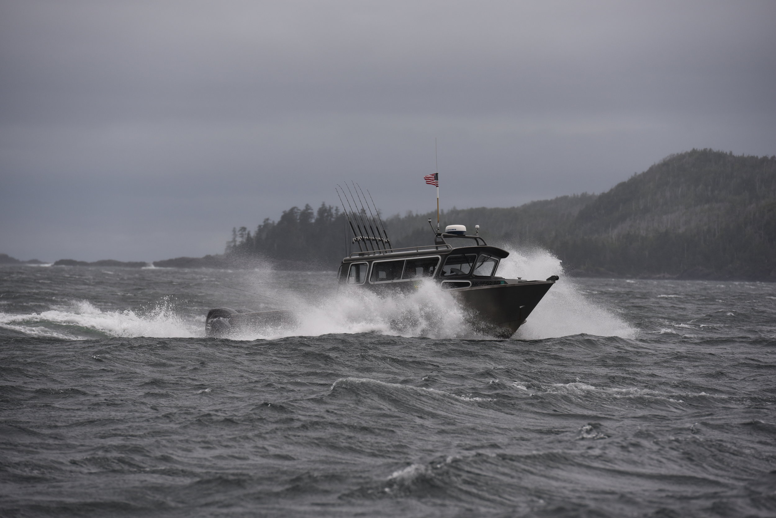 DSC_3554.jpg