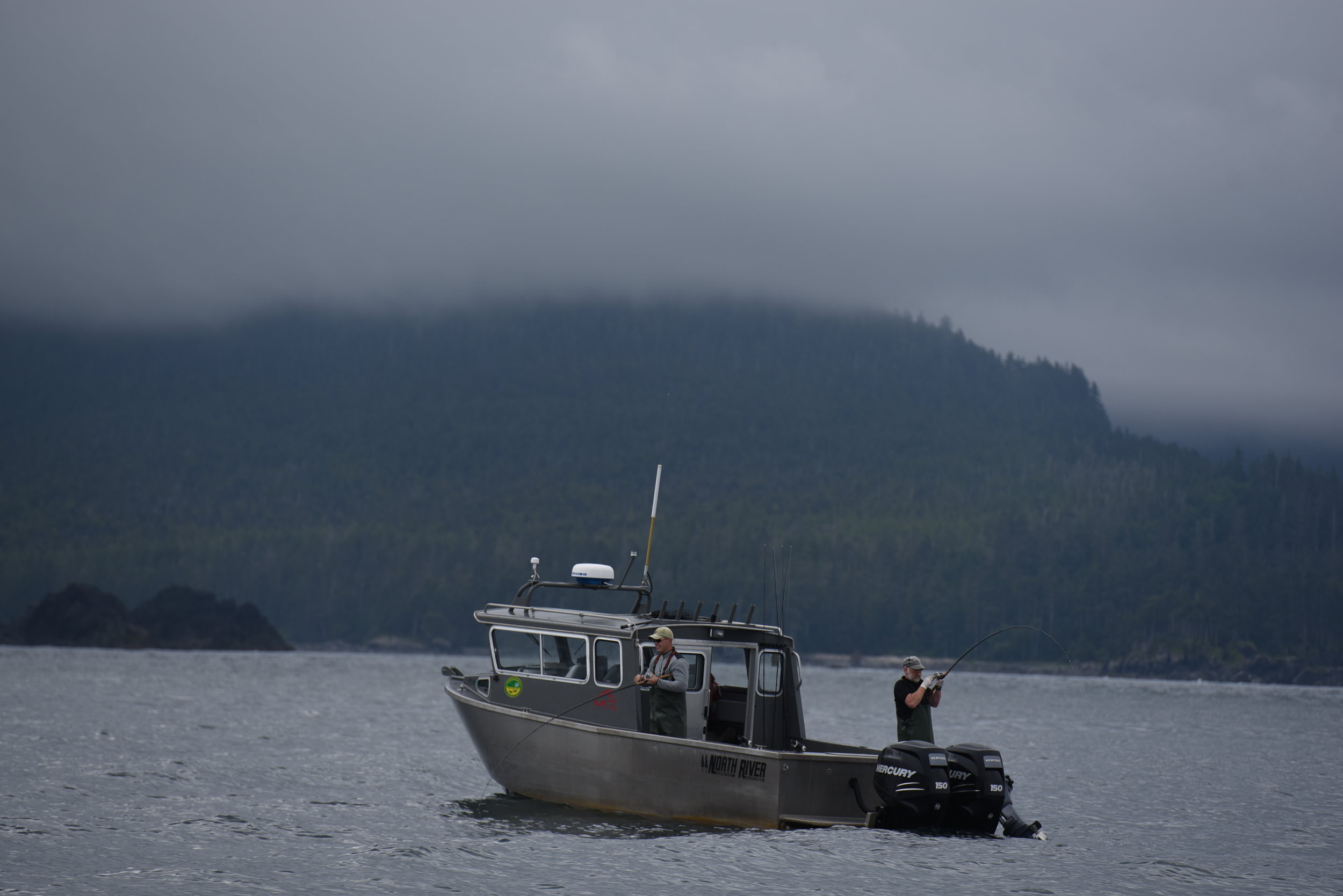 DSC_6461.jpg