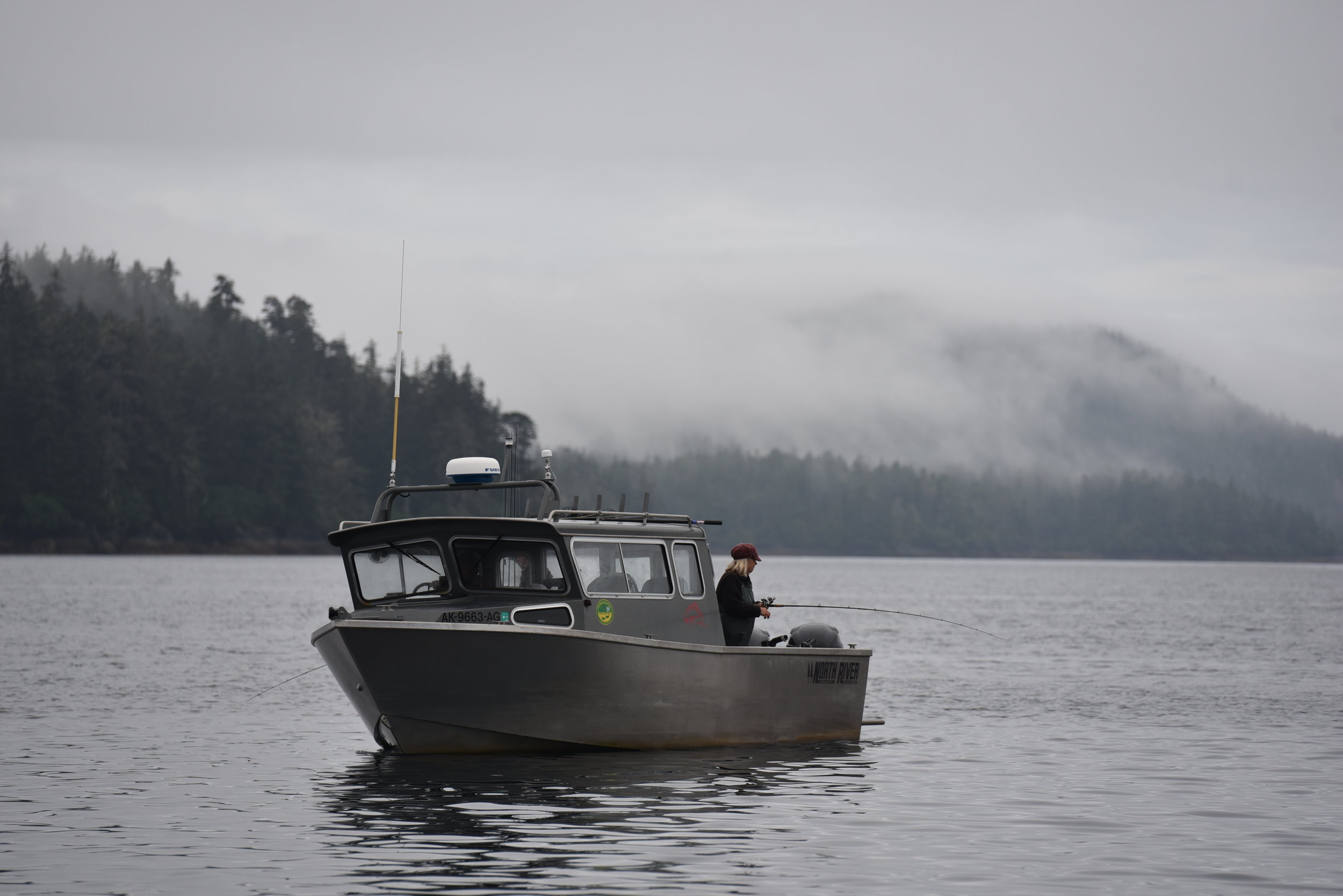 DSC_8183.jpg