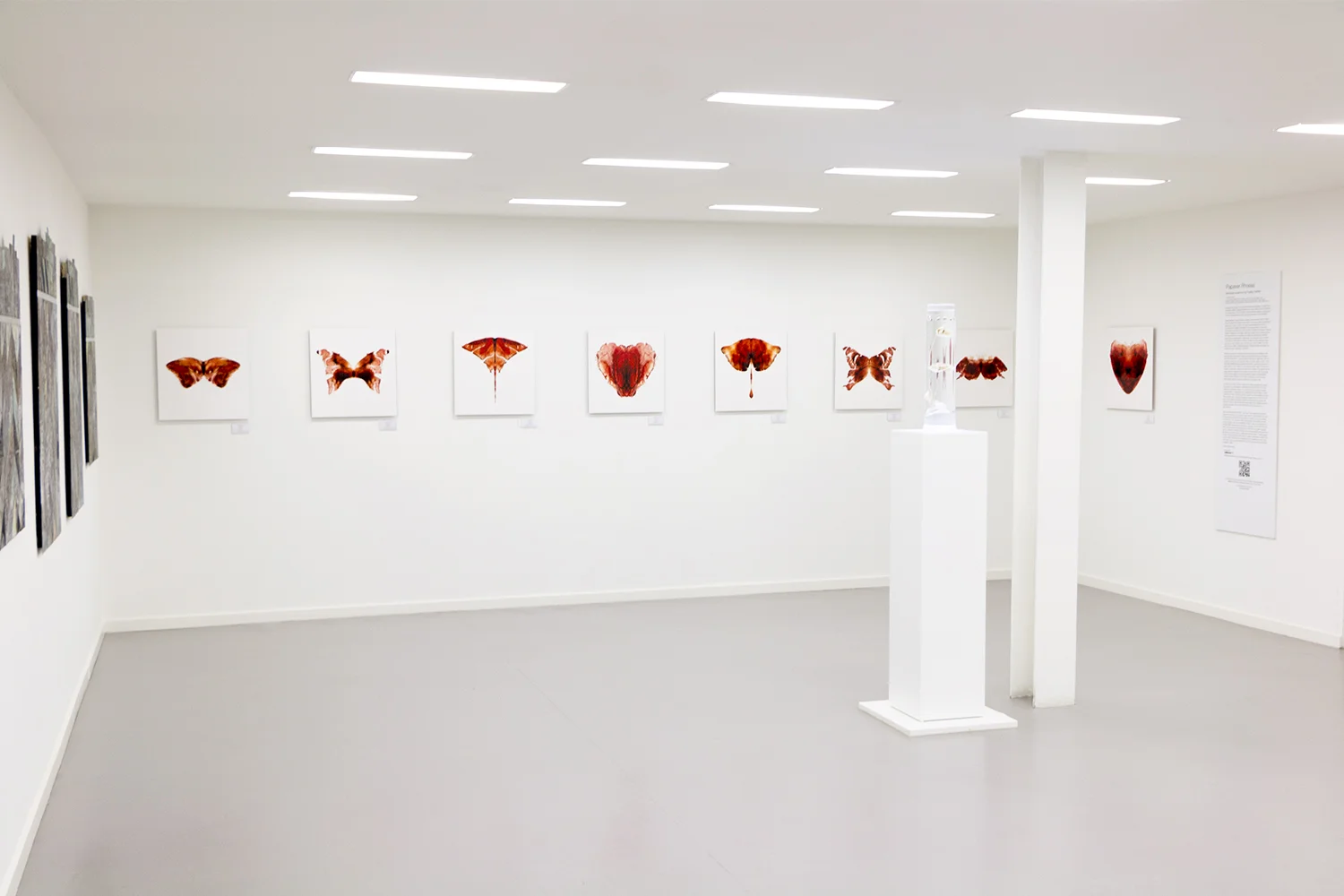 Saatchi Gallery, London The Aligera Series 1. Lambs Heart tissue compositions. Limited edition C-Type prints. 