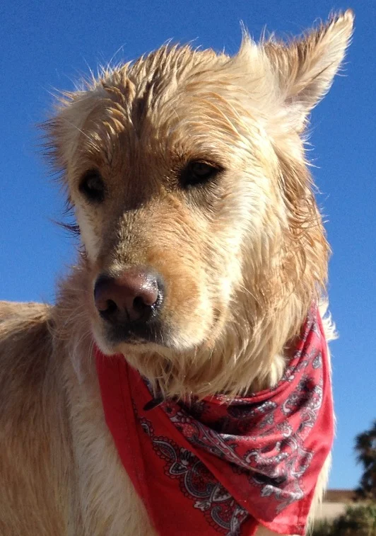 Rooki Kahoo in her red bandana in San Carlos.